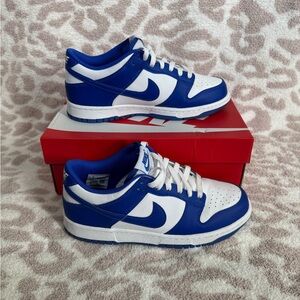 Nike Kids Blue and White Dunks